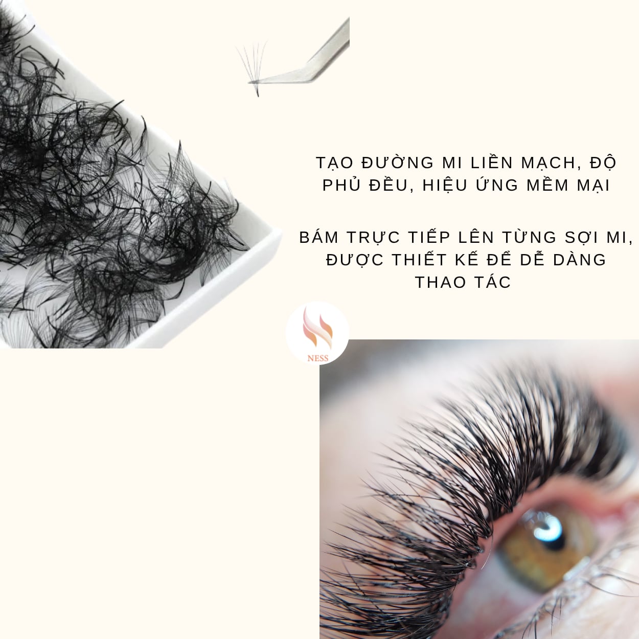 áº¢NH Äáº&nbsp;I DIá»N WEB  (12).png